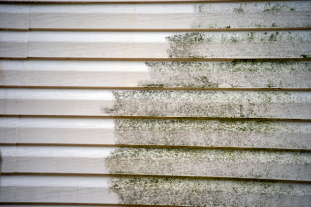 Best Siding Removal and Disposal  in Raven, VA